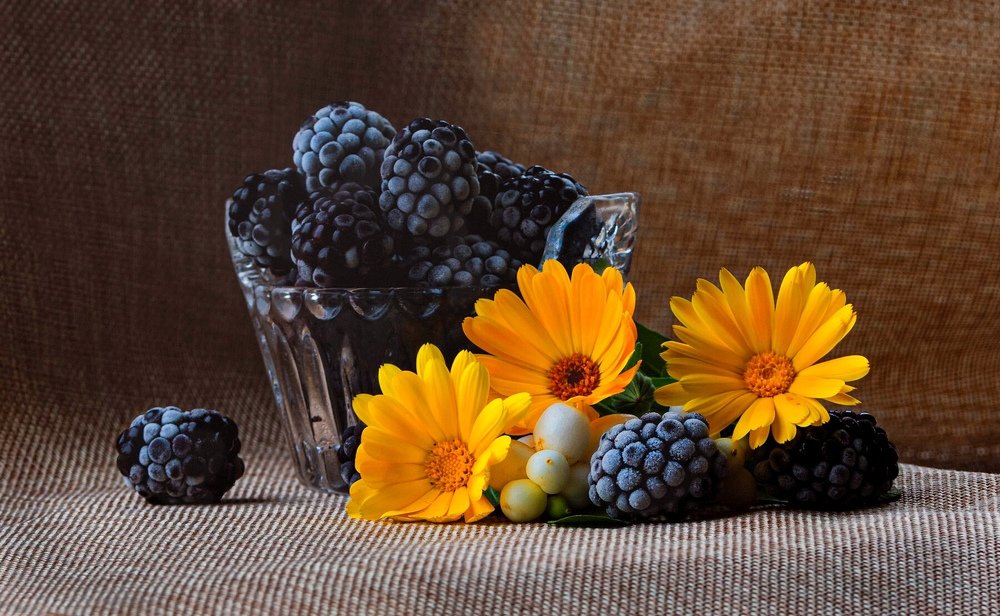 Photograph by Варвара Сапрыкина