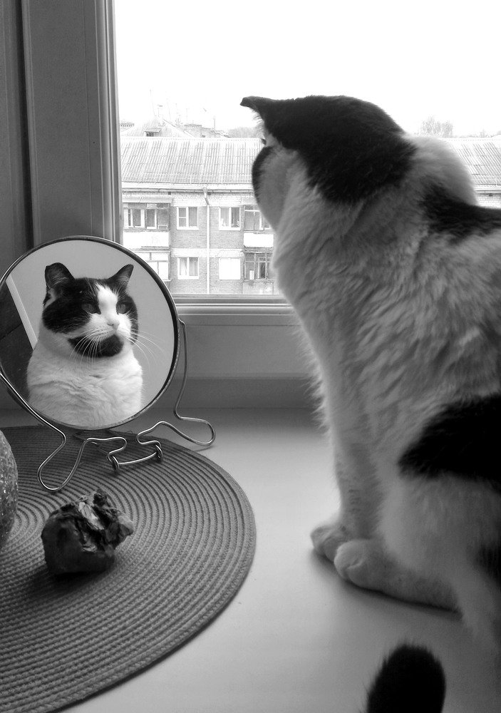 Photograph by Григорьева Галина