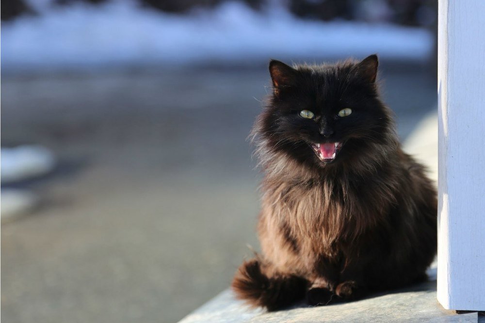 Photograph by Григорьева Галина