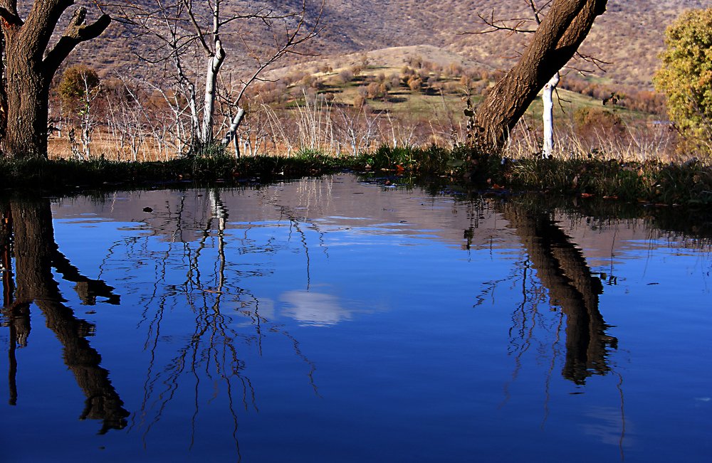 Photograph by omid zarei