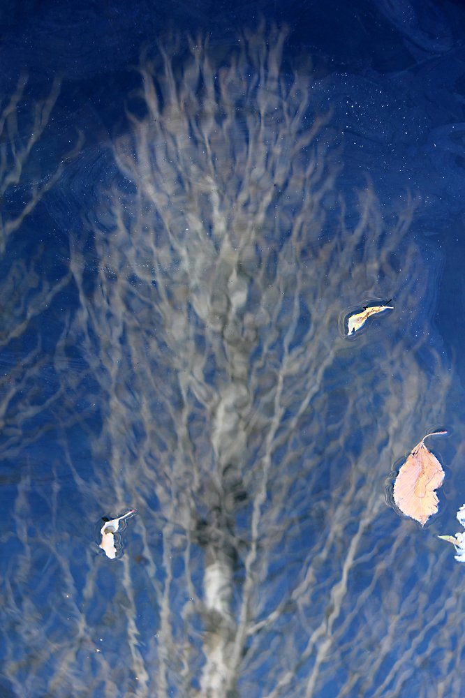 Photograph by omid zarei