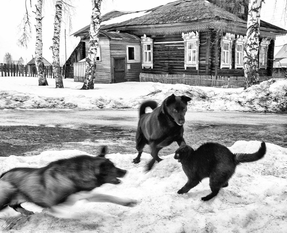 Photograph by Сергей Метелица