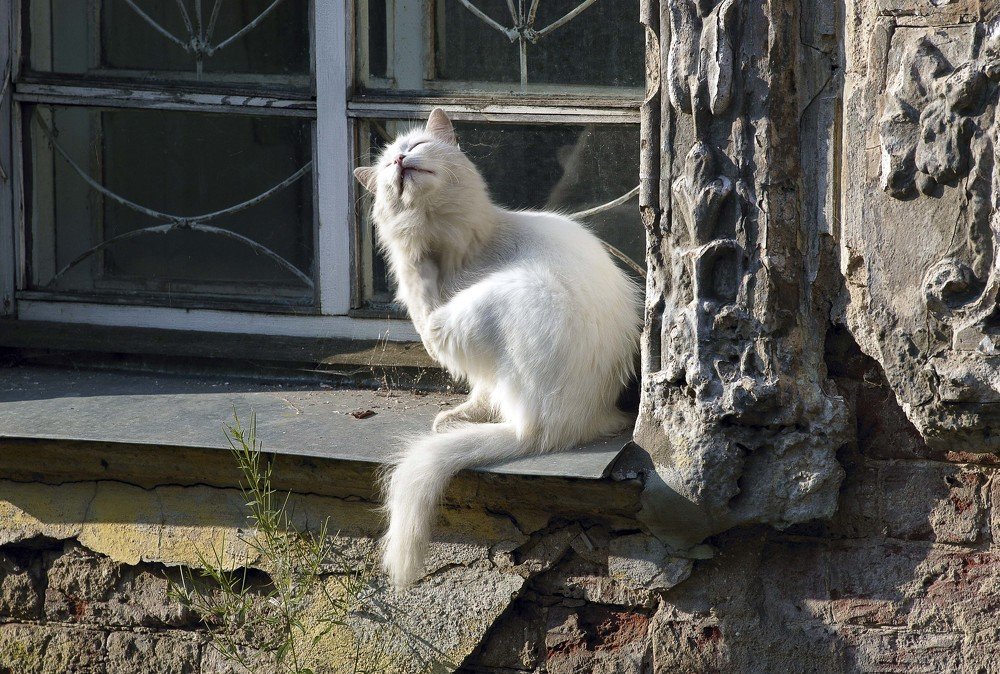 Photograph by Сергей Метелица