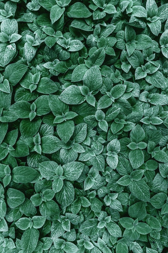 Фотография автора Анастасия Мазурева