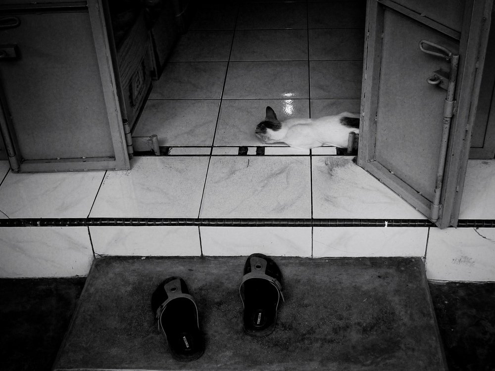 Photograph by Zulfikar ijul