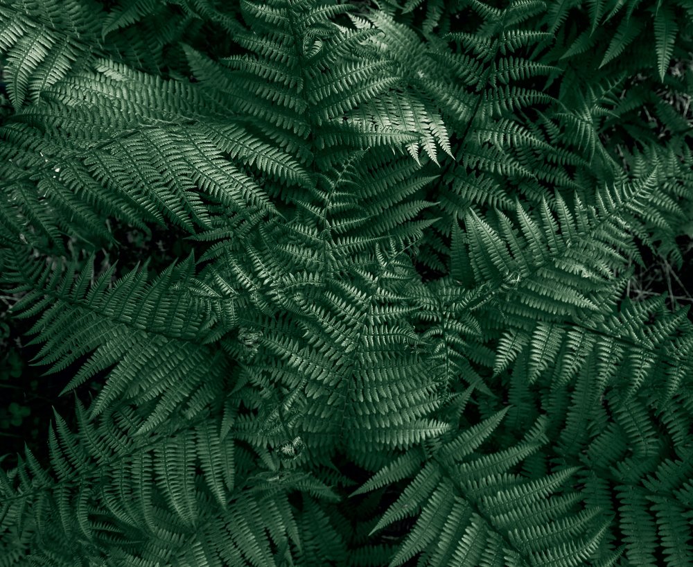 Фотография автора Анастасия Мазурева