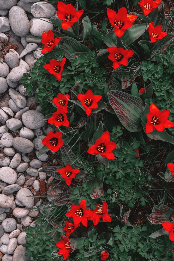 Фотография автора Анастасия Мазурева