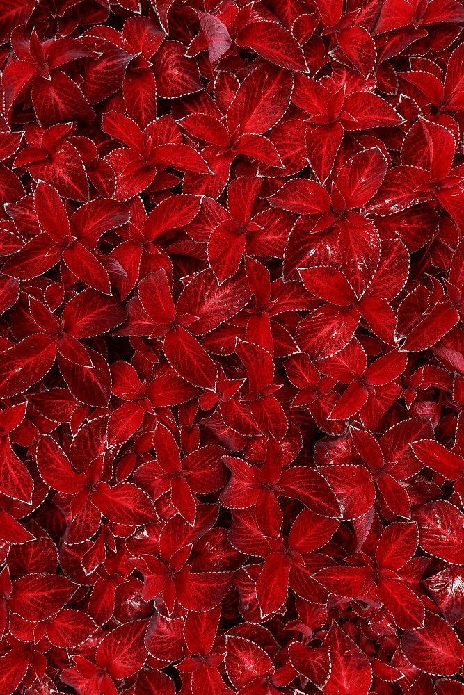 Фотография автора Анастасия Мазурева