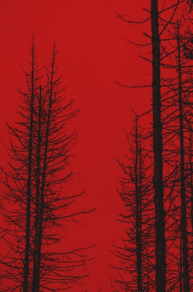 Photograph by Дмитрий Беликов