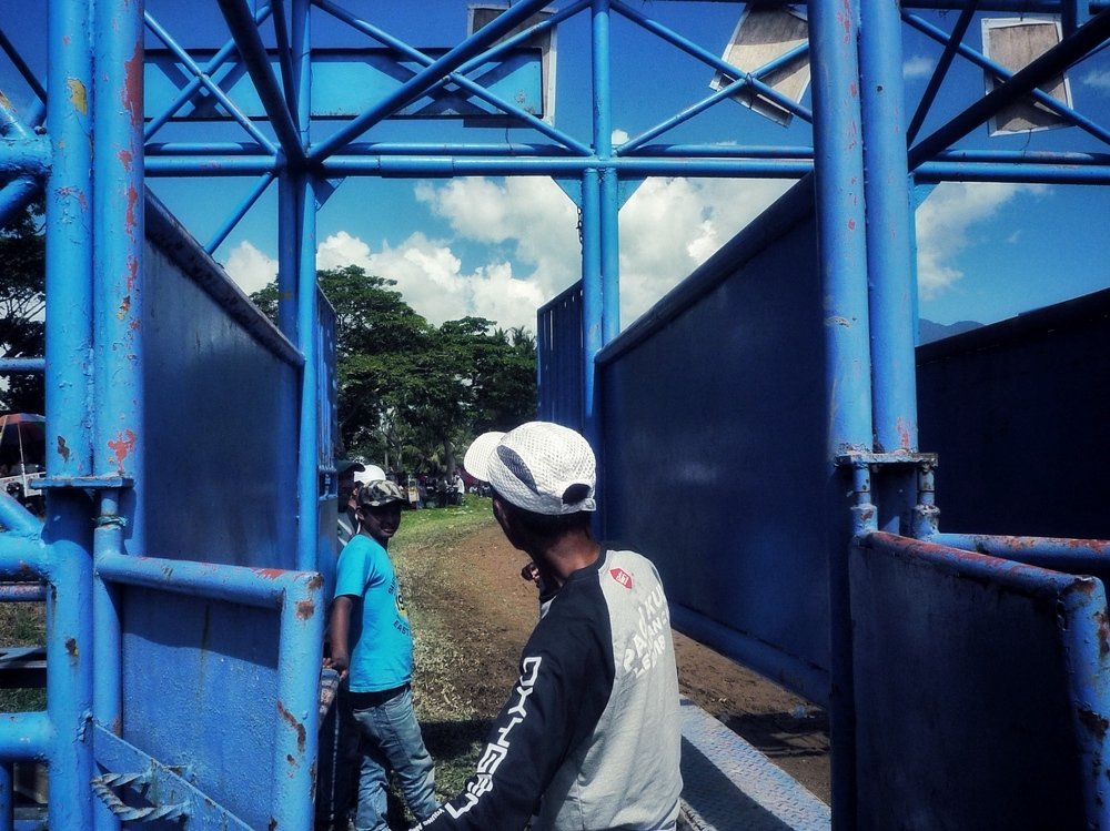 Photograph by Zulfikar ijul