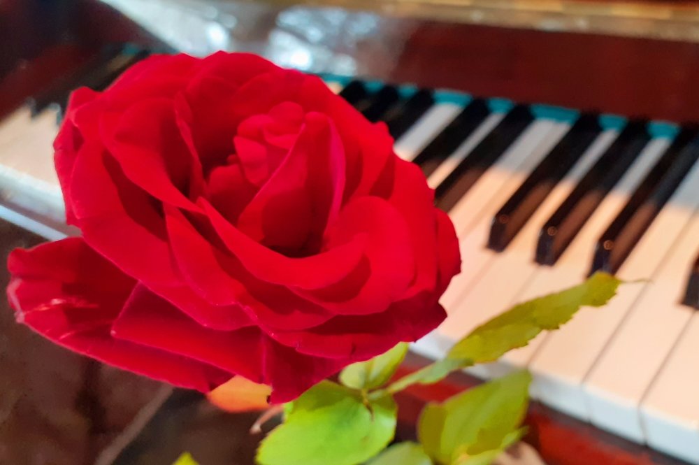 Photograph by Любовь Макарова