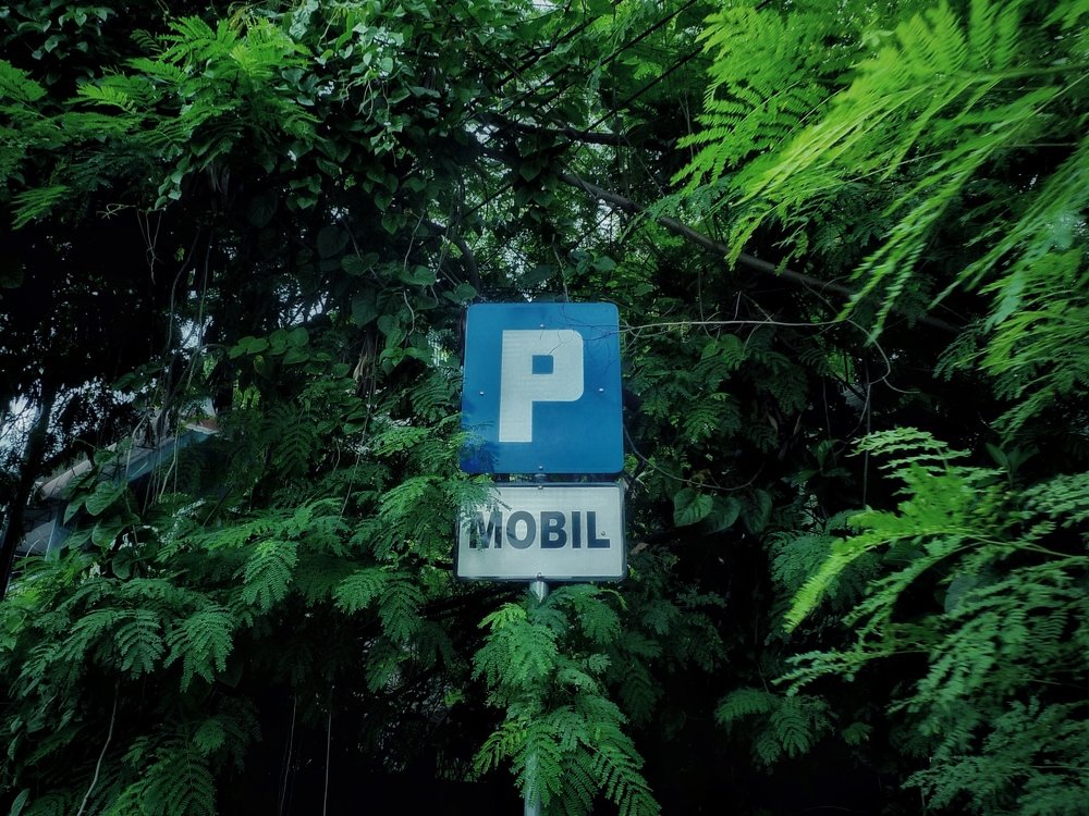 Photograph by Zulfikar ijul