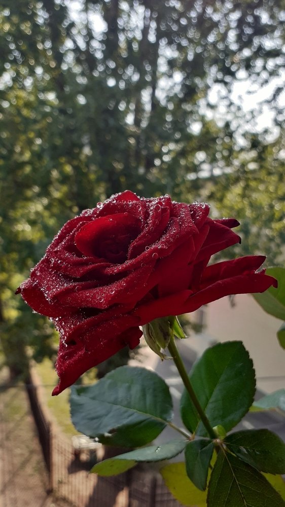 Photograph by Любовь Макарова