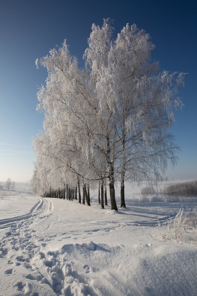 Photograph by Юлия Корягина