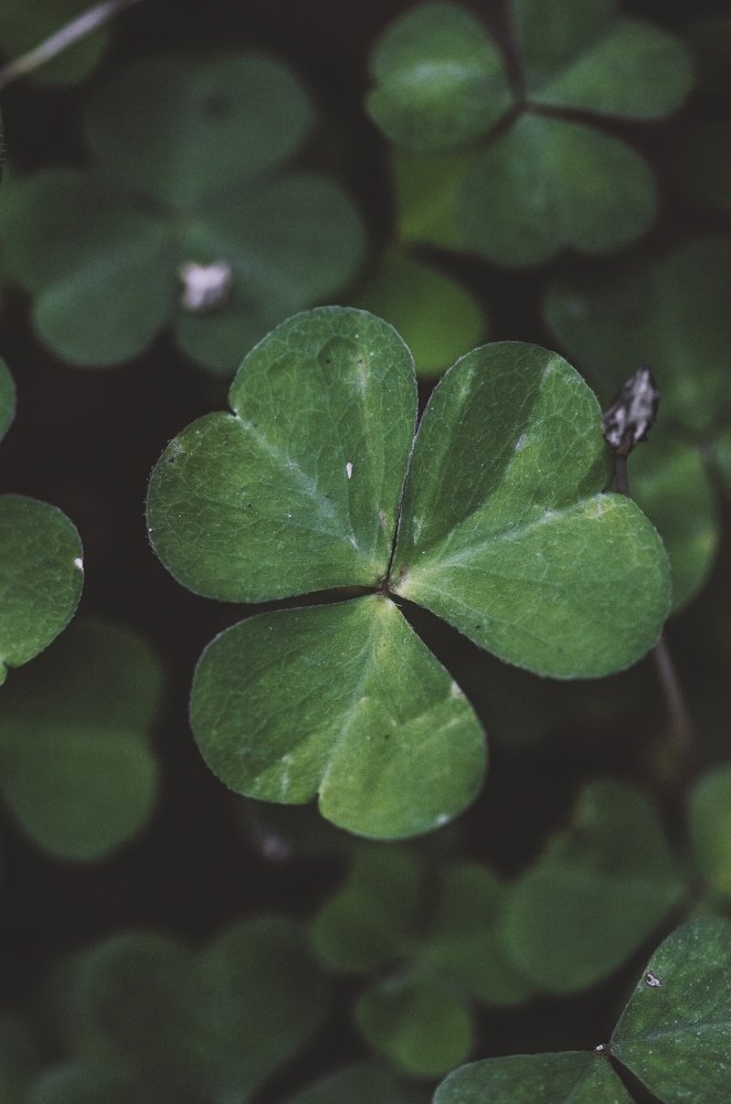 Photograph by Дмитрий Беликов