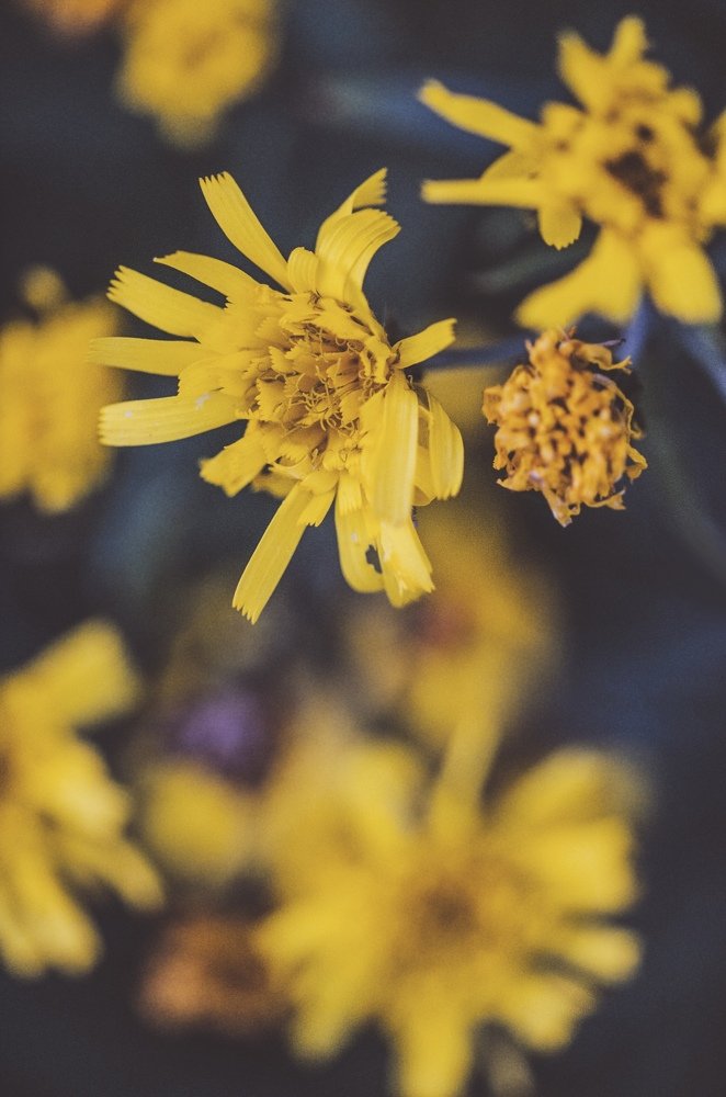 Photograph by Дмитрий Беликов