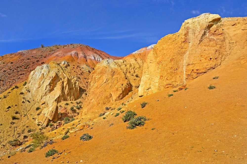 Желтые горы... Алтай.