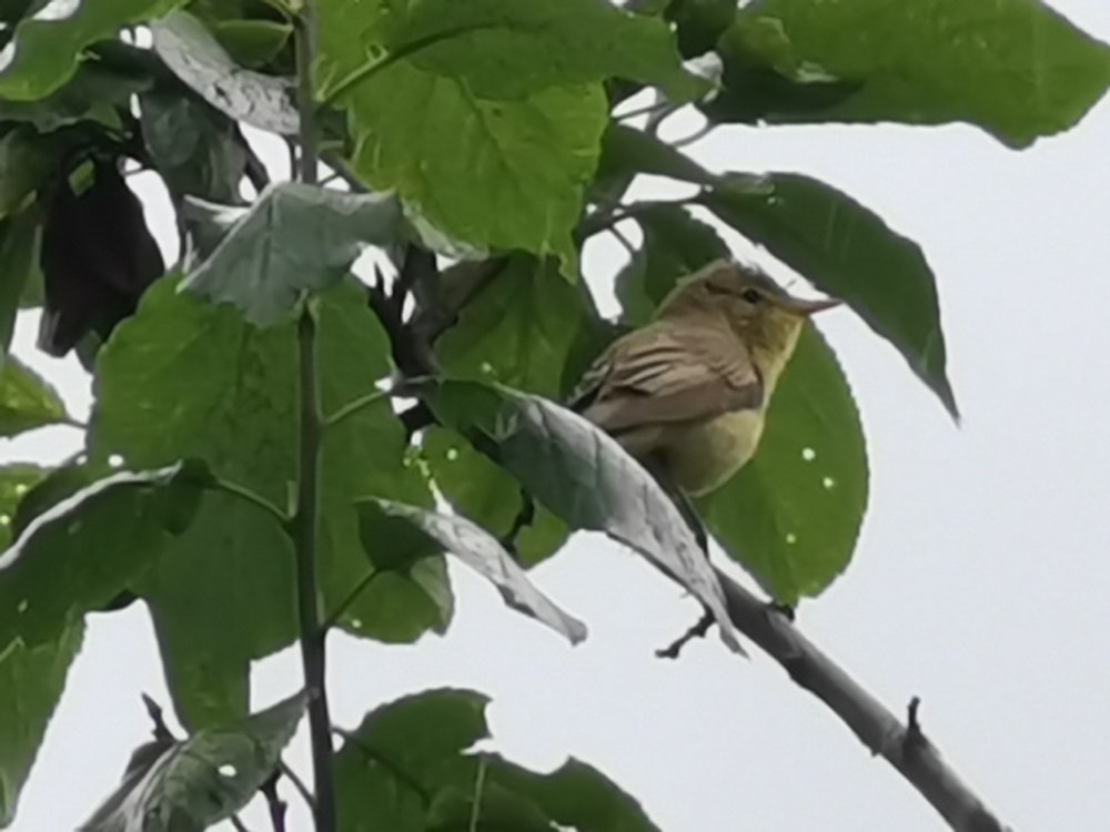 Photograph by Рутковская Жанна