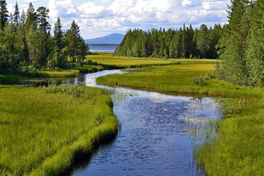 Photograph by Ксения Лычак