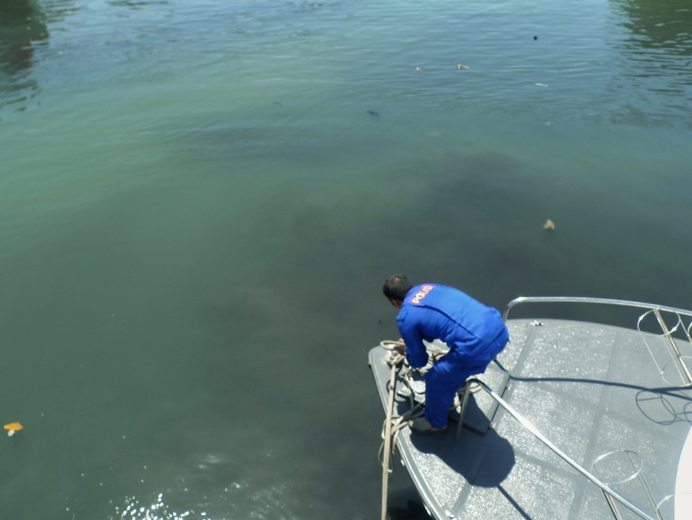 Photograph by Zulfikar ijul