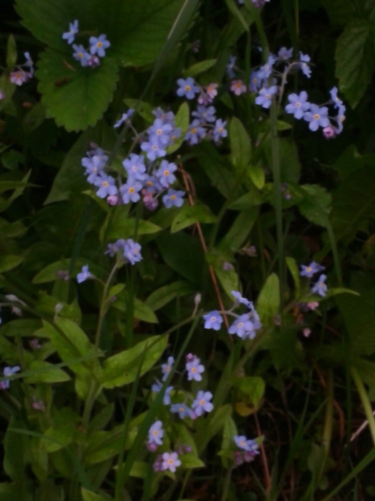 Photograph by Рутковская Жанна