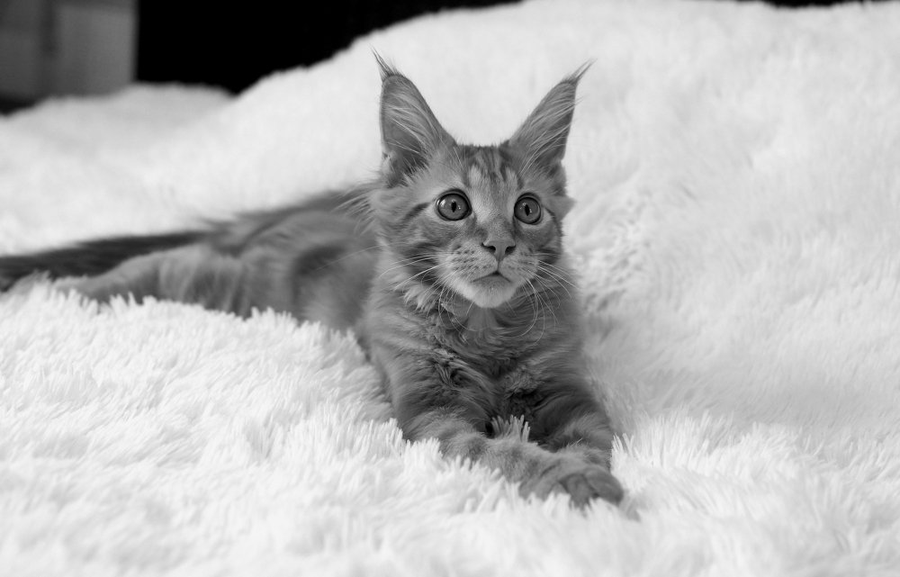 Photograph by Виктор Игнатенко.