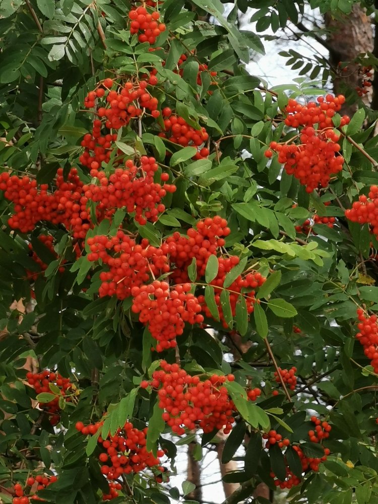 Photograph by Рутковская Жанна