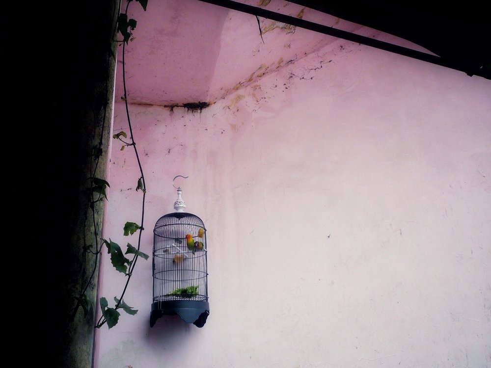 Photograph by Zulfikar ijul