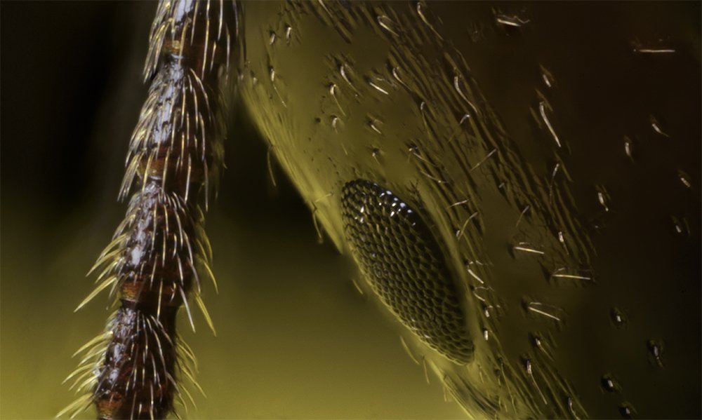 Photograph by Ramon Morcillo Valero