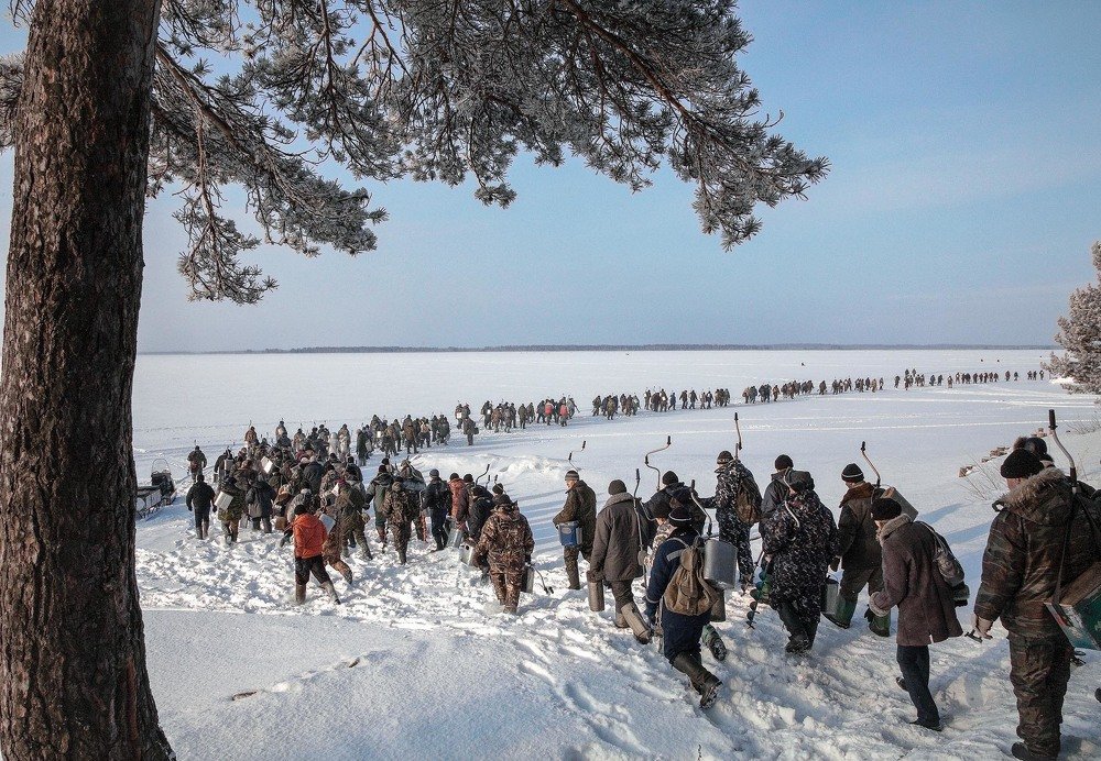 Photograph by Сергей Метелица