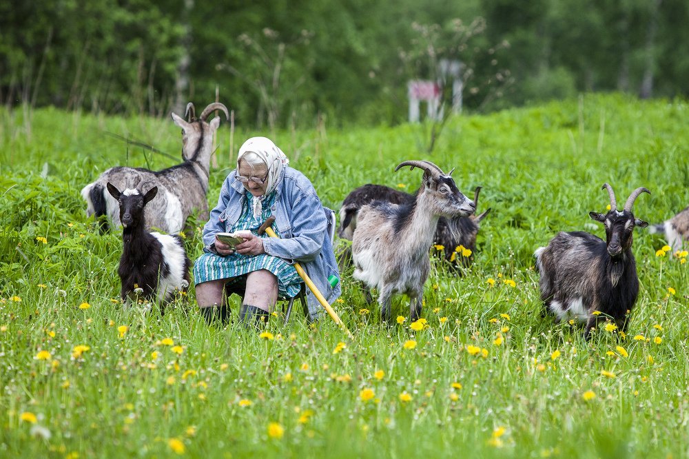 Photograph by Сергей Метелица