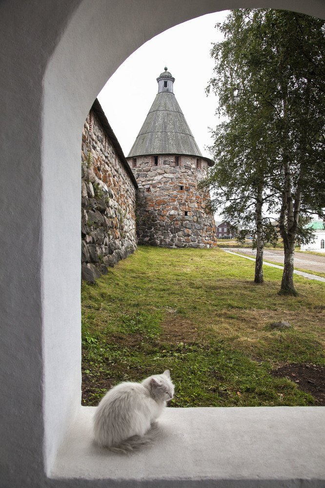 Photograph by Сергей Метелица