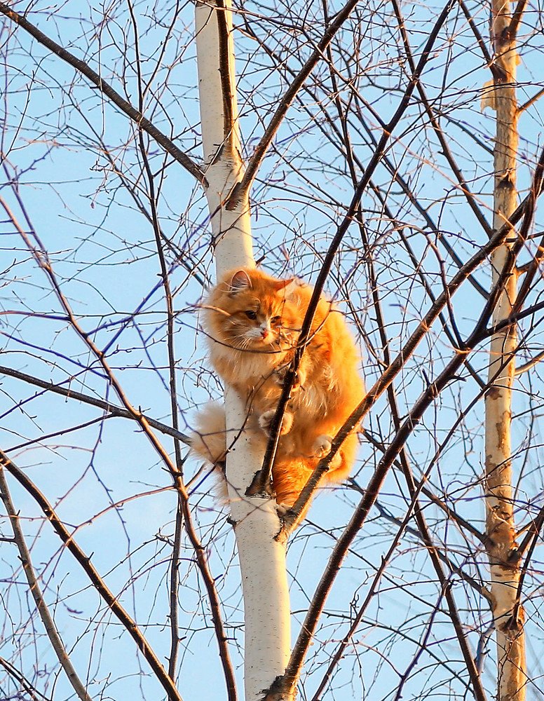 Photograph by Сергей Метелица