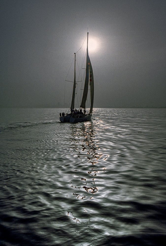 Photograph by Сергей Метелица