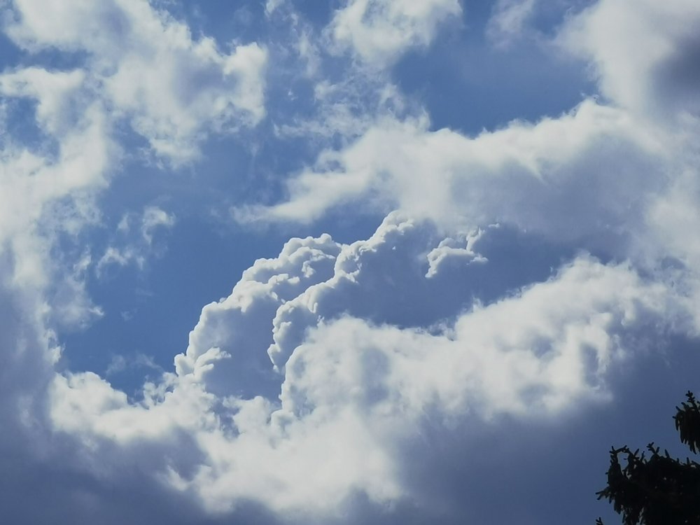 Photograph by Рутковская Жанна