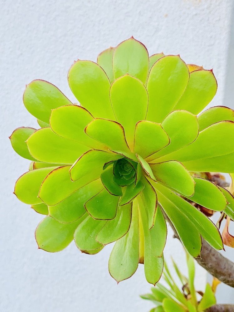 Photograph by Olga Pereira