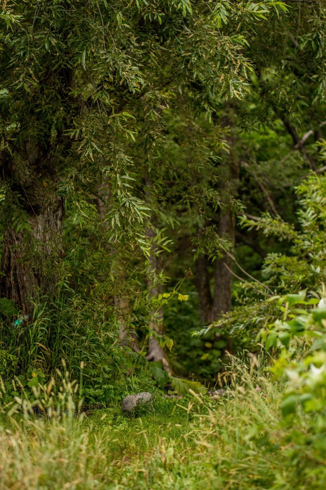 Фотография автора Маргарита Басова