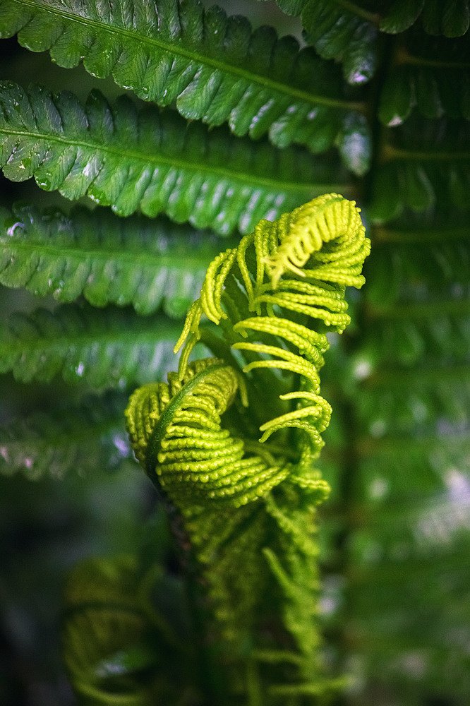 Фотография автора Ольга Комкова