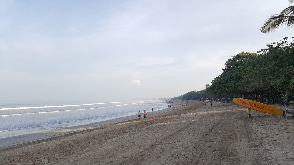 Photo #3593766