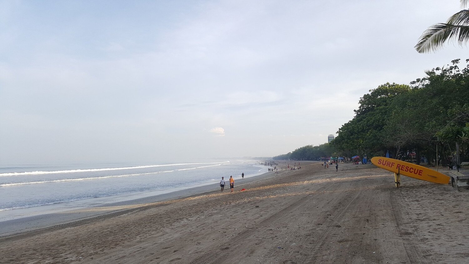 Photo #3593766