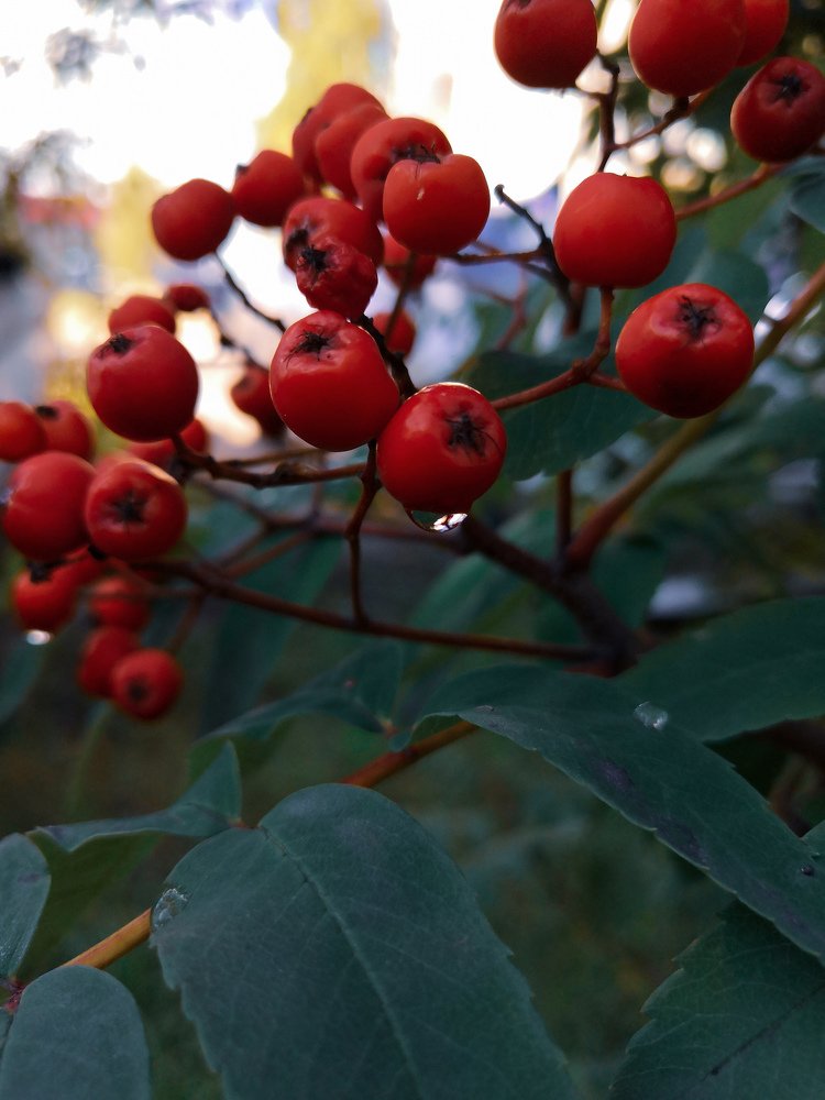 Photograph by Ольга Усманова