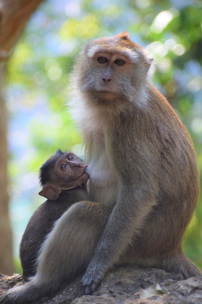 Photograph by Arun Mozhi Devan Panneer Selvam