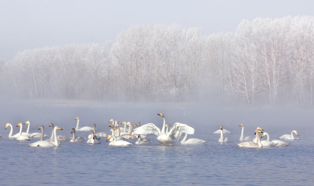 Photograph by Олъга