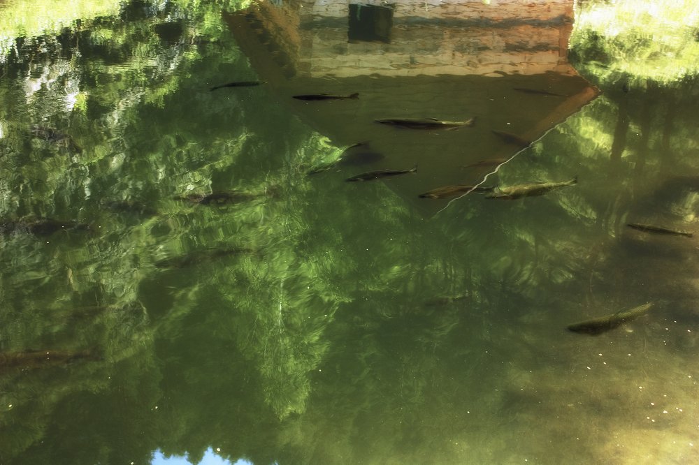 Photograph by Олъга