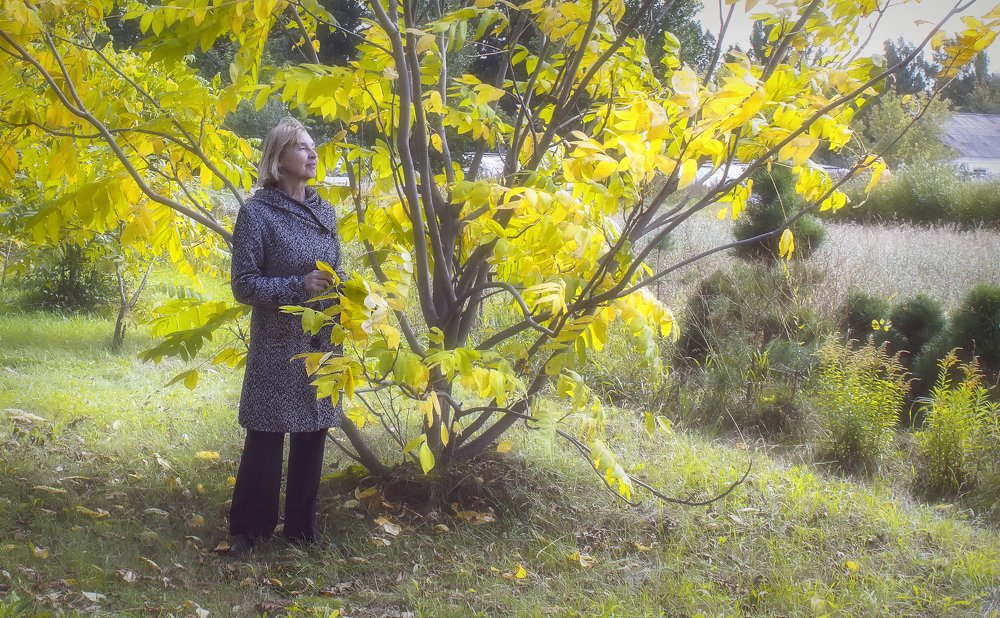 Photograph by Олъга