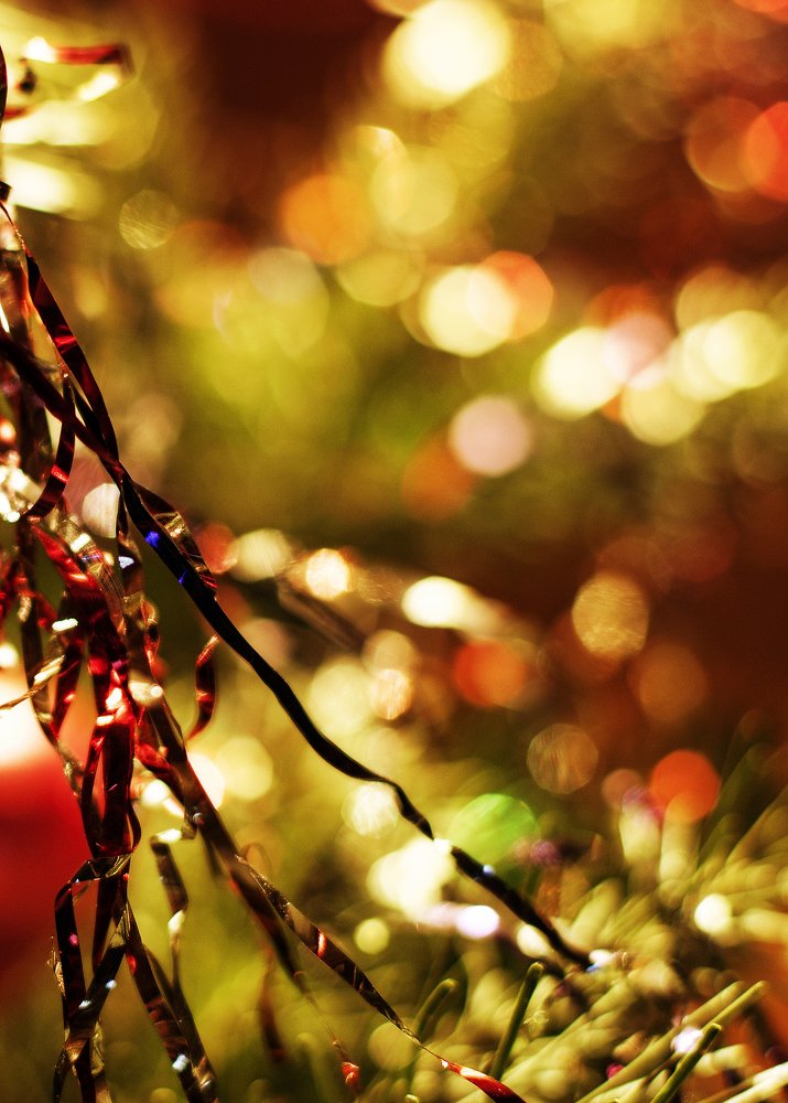 Photograph by Олъга