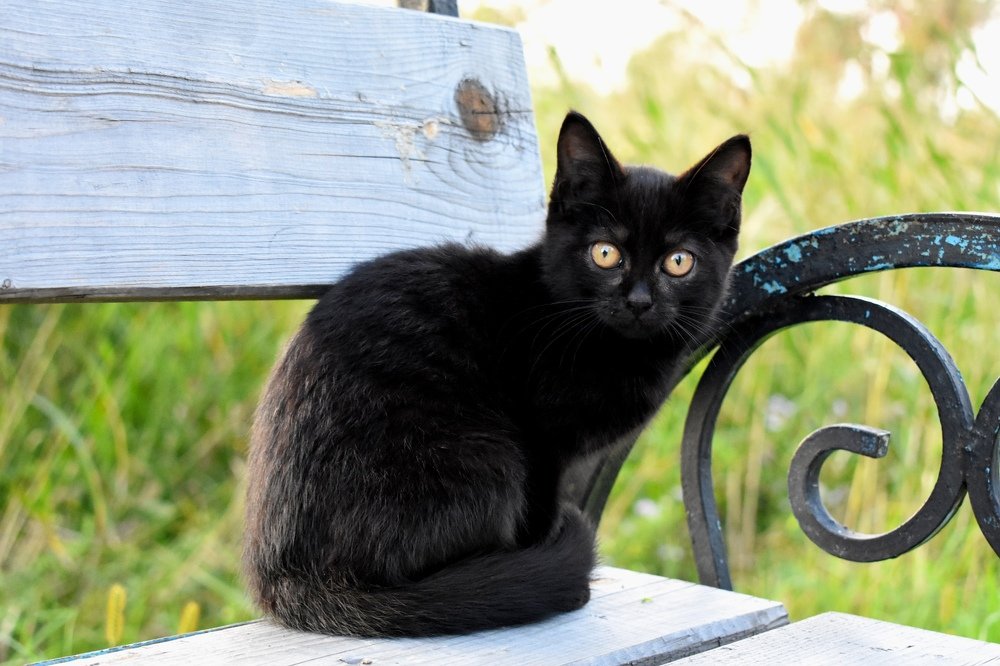 Photograph by Светлана Титова