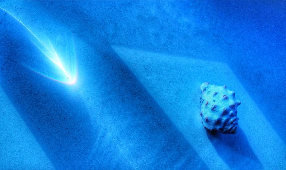 Ракушка и луч