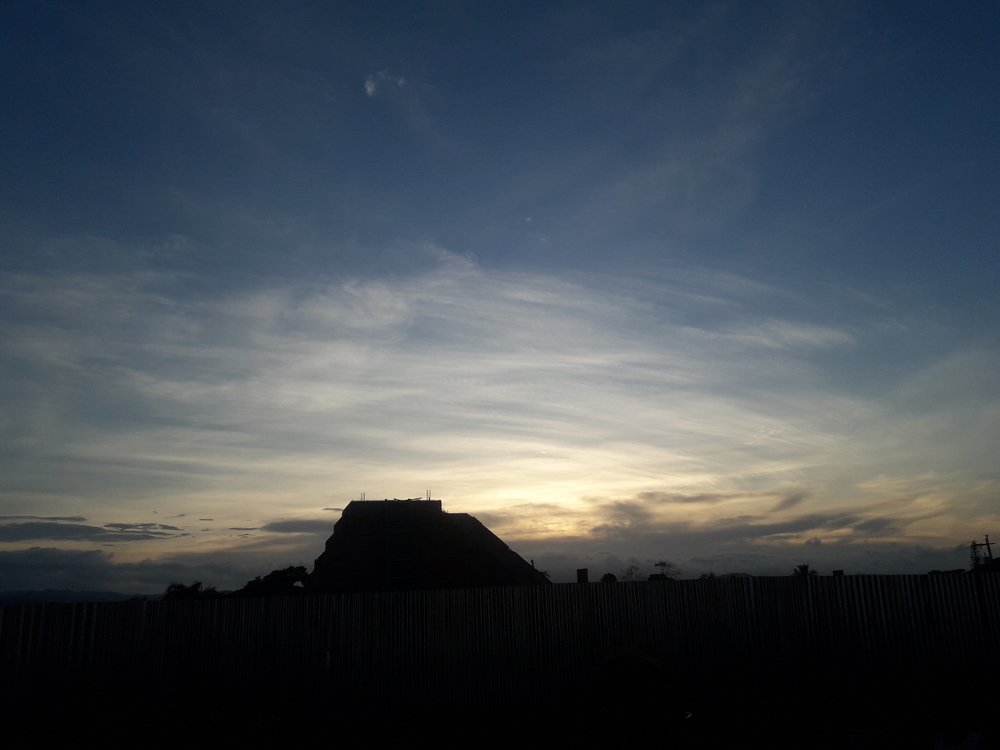Photo #3593948