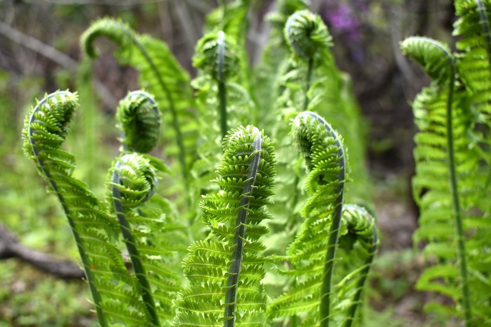 Photograph by Светлана Титова